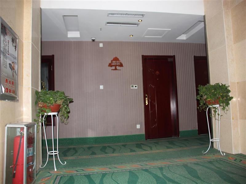 Greentree Inn Shandong Heze Cao County Qinghe Road Business Hotel Eksteriør bilde